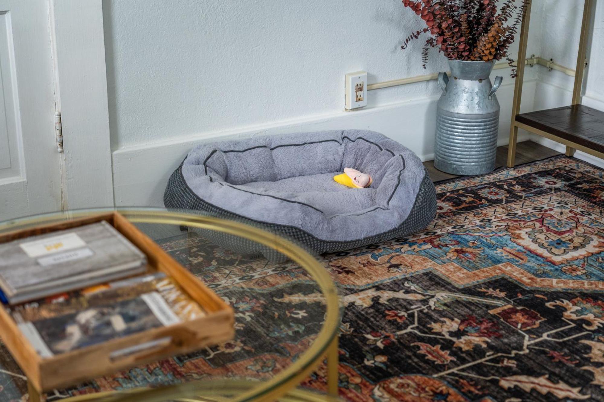 Cedar Blossom Bungalow Is A Cozy Getaway With A 5 Minute Walk To Downtown! Hot Springs Exteriér fotografie